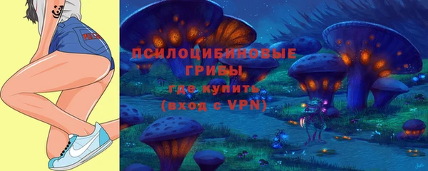 молекула духа Алексин