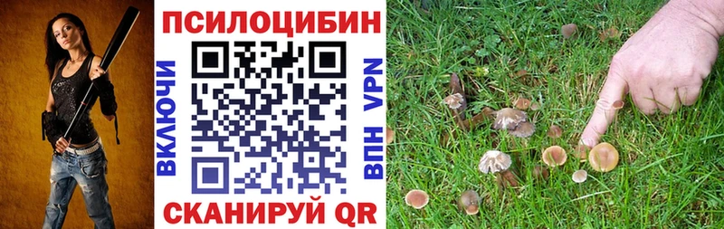 сайты даркнета официальный сайт  Вихоревка  Псилоцибиновые грибы мицелий 