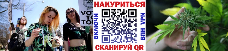 Шишки марихуана SATIVA & INDICA  цены   Вихоревка 